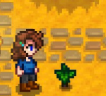 [1.4] How to get Tea / Craft Tea / New Caroline Heart Event for Stardew Valley