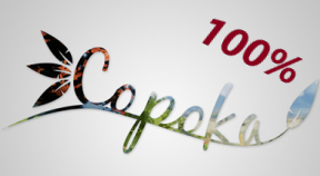 100% Achievements guide [Eng] & [SP] for Copoka