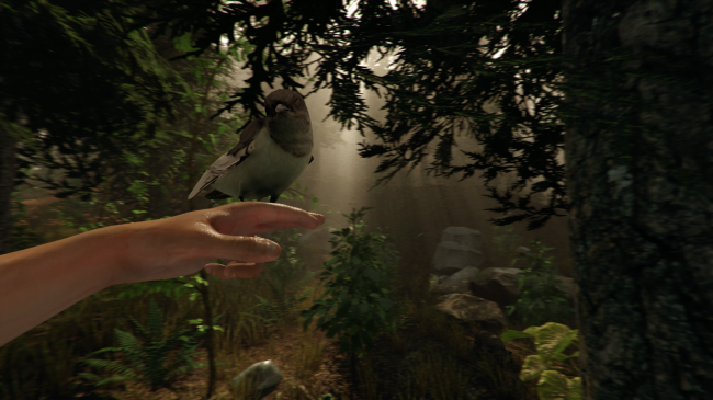 100% The Forest / Francais for The Forest