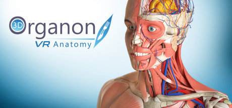 3D Organon VR Anatomy