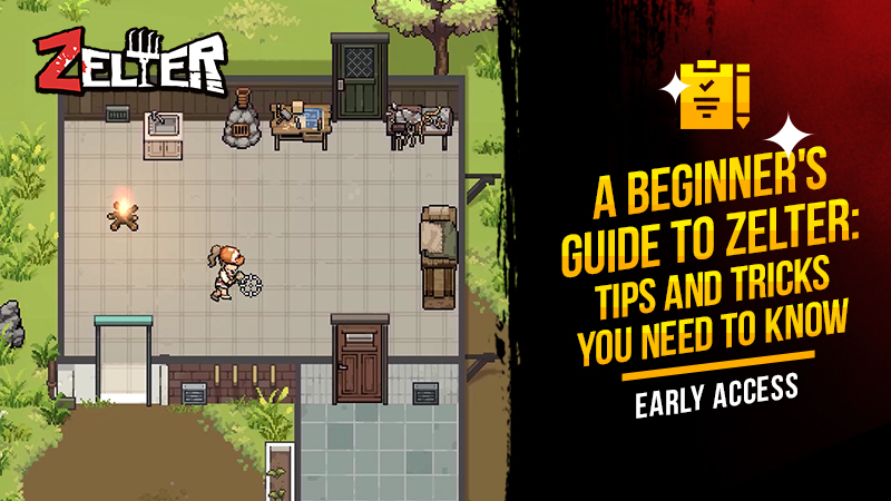 A Beginner's Guide to Zelter: Tips and Tricks You Need to Know for Zelter