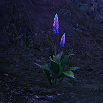 A Good Place to farm Sage Grass for Riders of Icarus