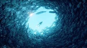 ABZU for ABZÛ
