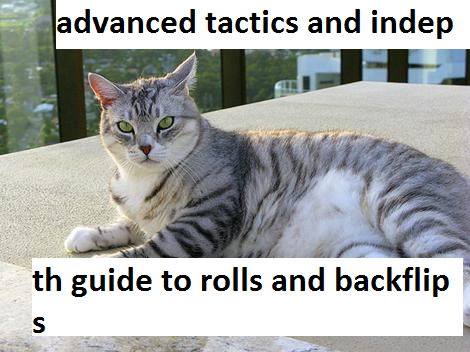 Advanced In-Depth Tactics: Backflip And Roll for Petz Catz 2