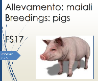 Allevamento maiali - breeding pigs  for Farming Simulator 17