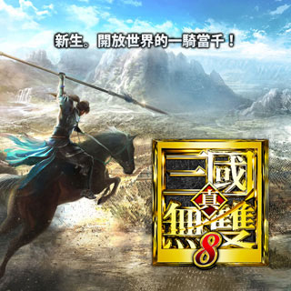 AMD肾上腺驱动2020版闪退问题解决方法（通用） for DYNASTY WARRIORS 9