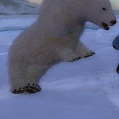 An expert guide to safely and effectivly hunt POLAR BEAR for theHunter Classic