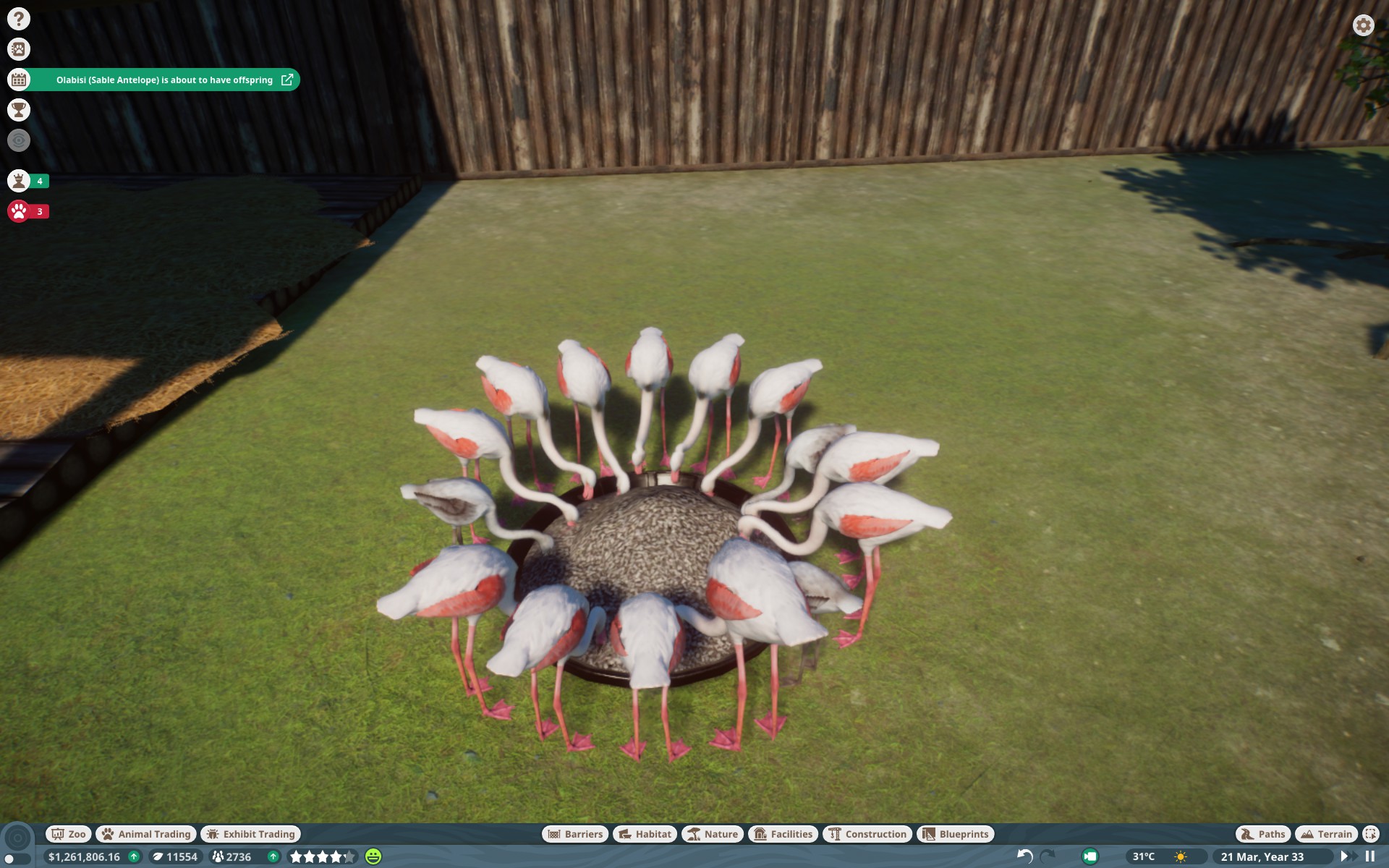 Animal Feeding Prices for Planet Zoo