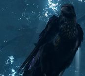 Artículos de cambio con Snuggly el cuervo for DARK SOULS™: REMASTERED