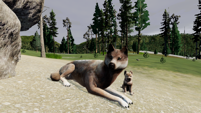 Aster-The story of a Theta who changed the packs for WolfQuest: Anniversary Edition