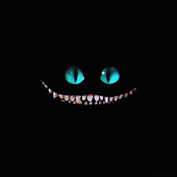 Back Cat for SteamVR