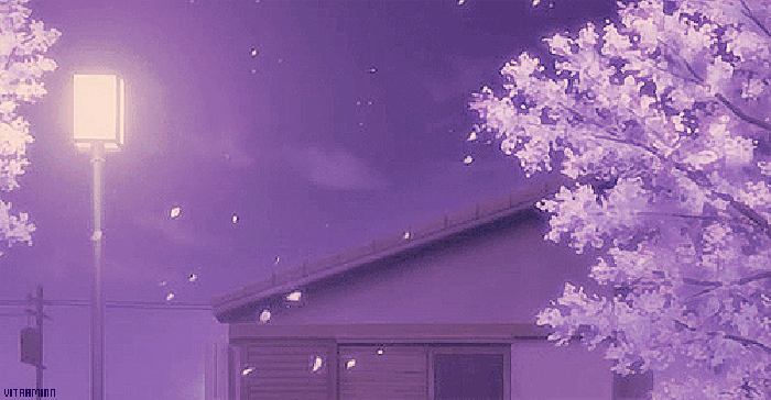 Beautiful Gif for Everlasting Summer