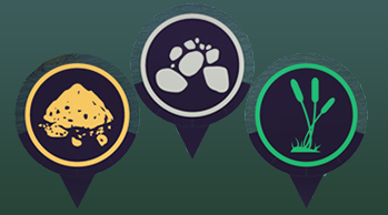 Bed icon's - Wich one is weed,silt and gravel. for Euro Fishing