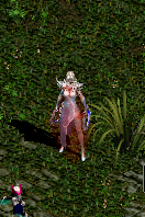 BUILD OUSTER COMBAT FULL DEX for Dark Eden