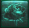By any other name (roses) for Observer