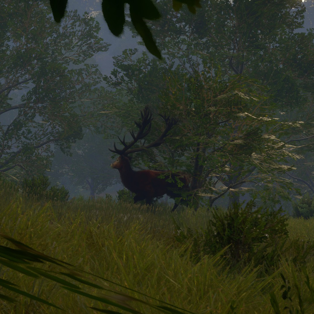 〖转〗莱顿湖区高效打猎 By:Prey9 （目前更新至白尾兔，暂时完结） for theHunter: Call of the Wild™