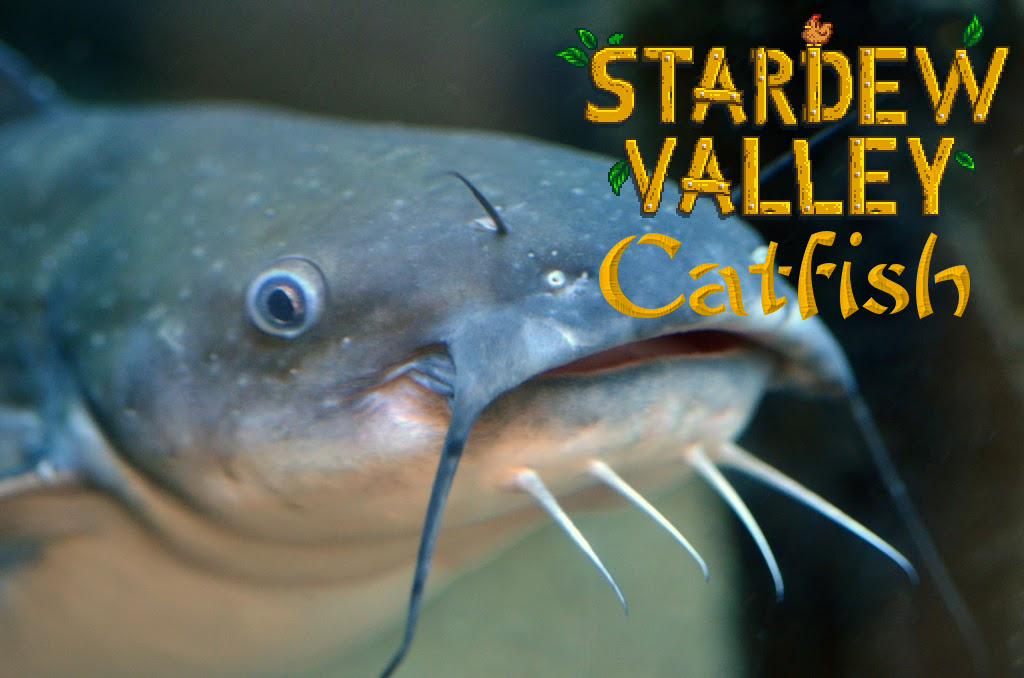 Catfish Location | Lokacja Catfish-a for Stardew Valley