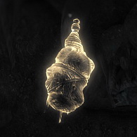 Challenge: "Firestarter" (Geothermal Caverns) for Tomb Raider