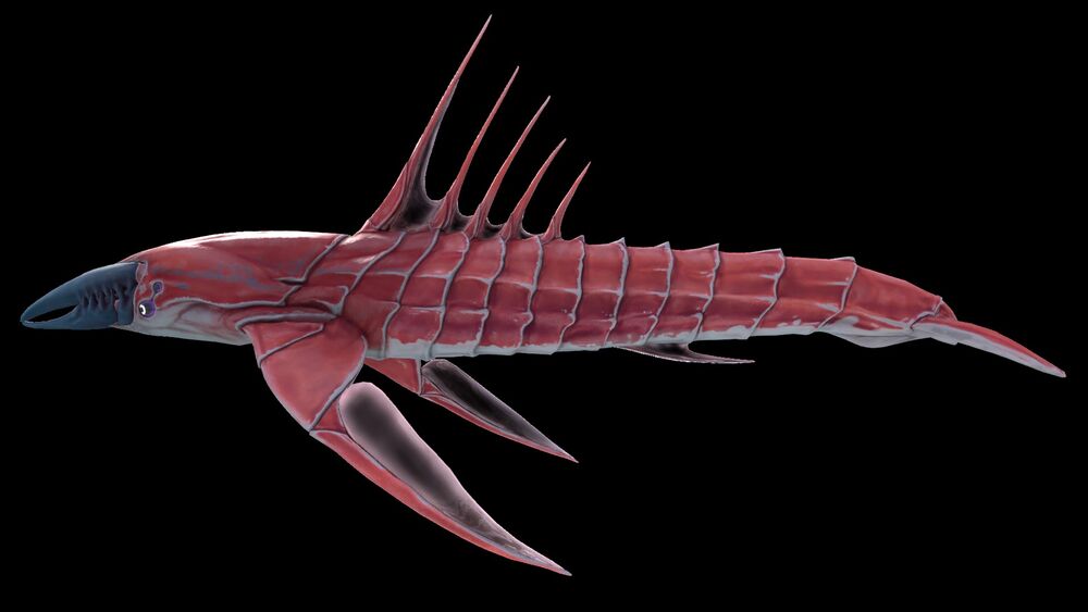 Come sopravvivere il più a lungo possibile dinanzi ad un Chelicerato for Subnautica: Below Zero