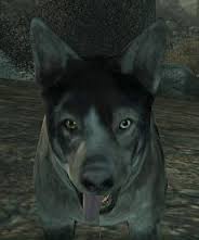 Como encontrar al perro en fallout 3 for Fallout 3