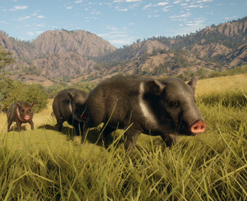 COMO SE DAR BEM NO MAPA RANCHO DEL ARROYO for theHunter: Call of the Wild™