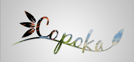 Copoka