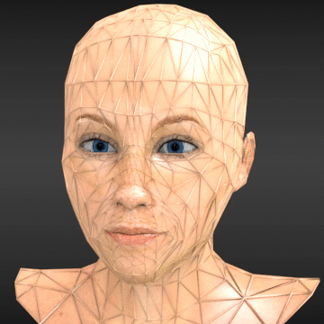 Creating Valve Facial Flexes (Shapekeys) in Blender 2.7x for Source Filmmaker