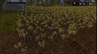 Crop yield returns for Farming Simulator 17