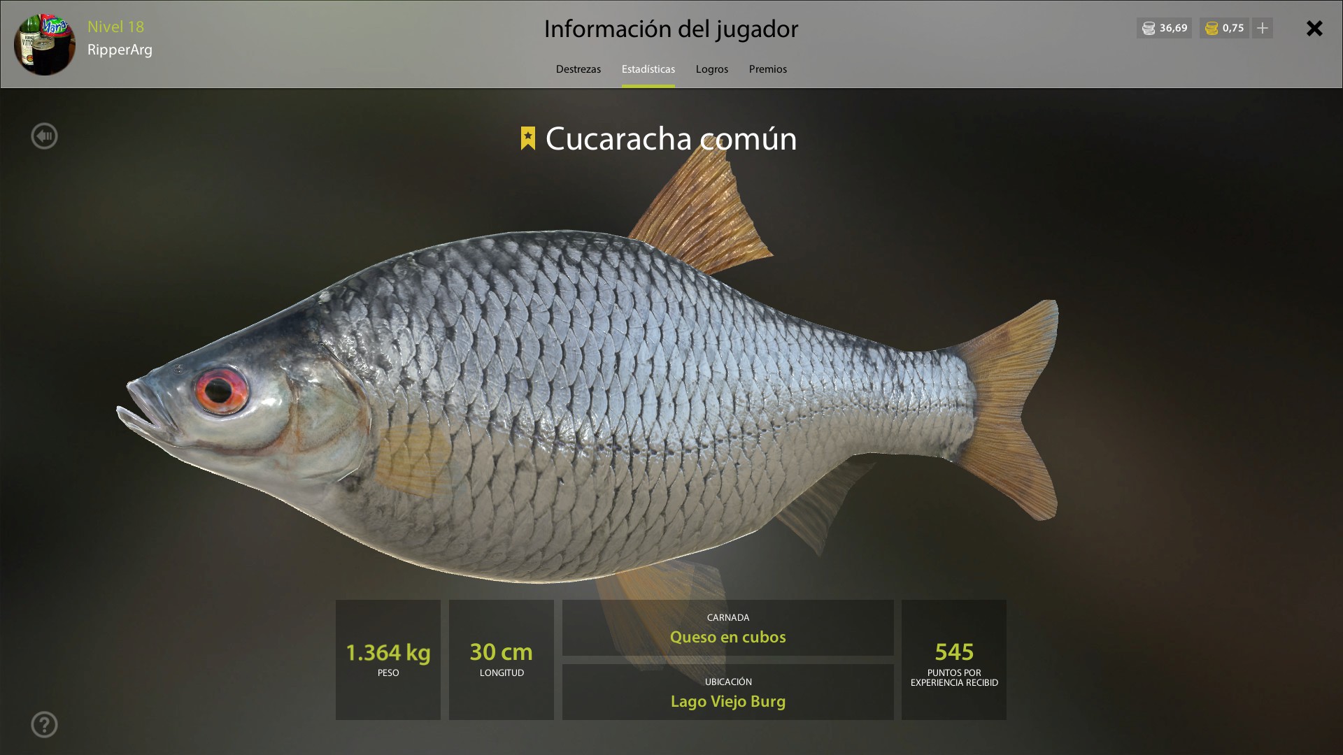 Cucarachas Viejo Burg principiantes for Russian Fishing 4