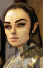 Custom Character Portrait for Pillars of Eternity II: Deadfire