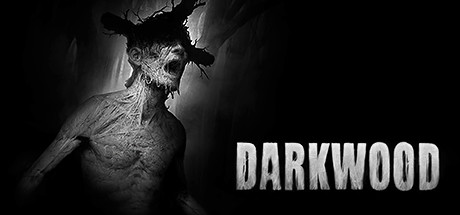 【中文】Darkwood基础教程及全流程攻略（更新中）（大量剧透） for Darkwood