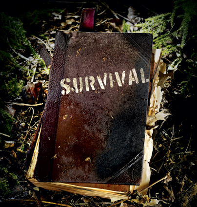 Dayz Survival guide FR for Arma 2