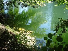 Deck Plentiful Nature for Magic Duels