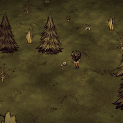 Don't Starve: Ludiwhopper's Virtual "Early Survival" Handbook for Don't Starve