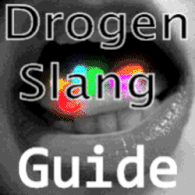 Drug-Slang Guide for Drug Dealer Simulator