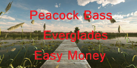 [Easy Money]Peacock Bass | Everglades | Floride for Fishing Planet