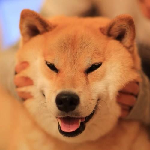 [EnglishMF] Как включить английские субтитры и меню for Max Payne 3