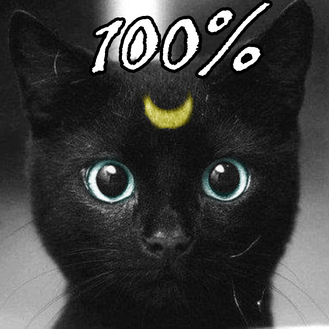 [ES] The Purring Quest - Logros 100% for The Purring Quest