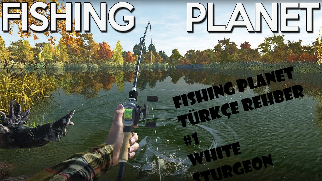 Fishing planet Türkçe Rehber White Sturgeon for Fishing Planet