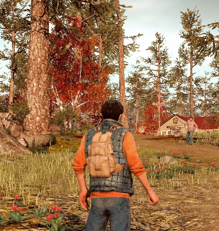 FOV + Disable motion blur + mouse acceleration for State of Decay: Year-One