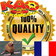 [FR] All Achievement 100% for Kao the Kangaroo: Round 2