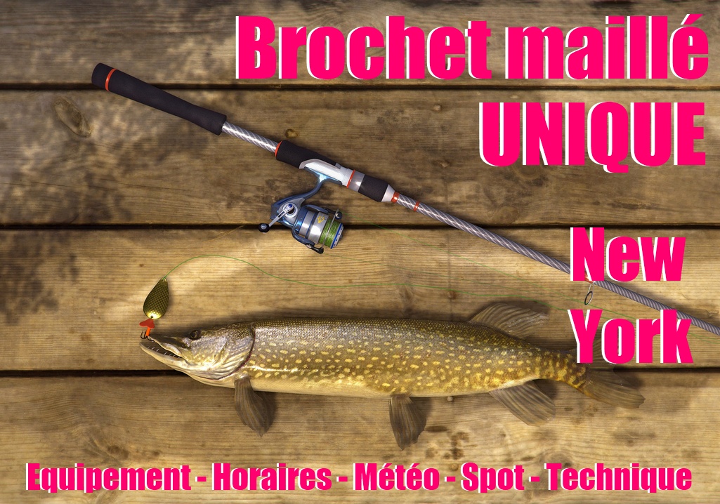 [FR] New York - Brochet maillé UNIQUE for Fishing Planet