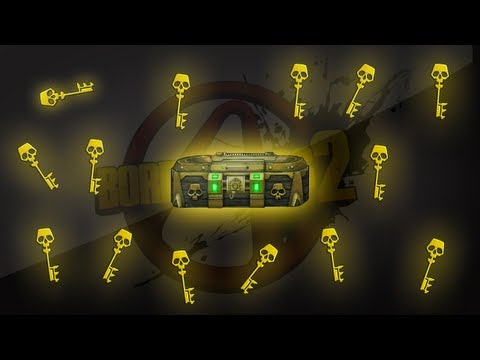 Golden key and special customization codes for Borderlands 2
