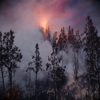 Goonz 2021 Mod List with Modding Tutorial for The Elder Scrolls V: Skyrim Special Edition