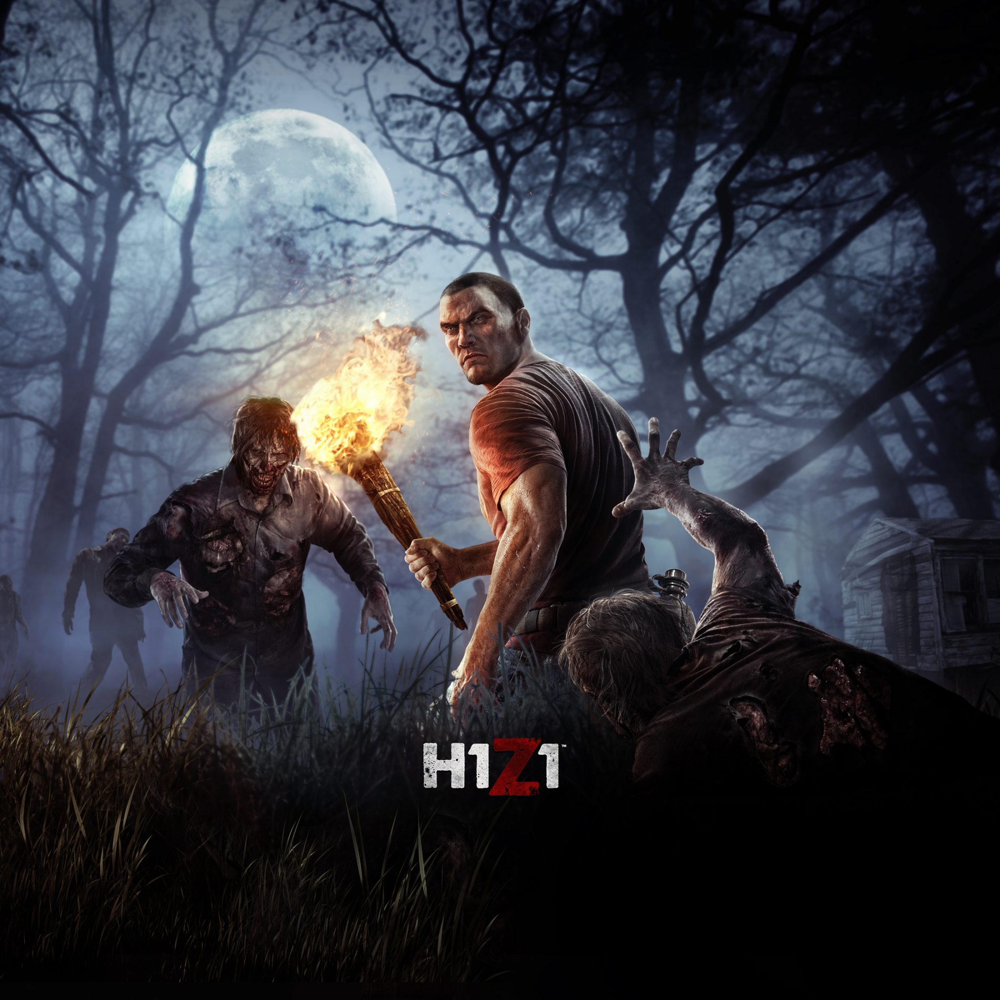 H1z1 just survive стим фото 44