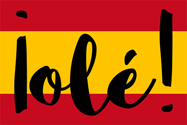 GUIA  EN ESPAÑOL for Tiger Knight