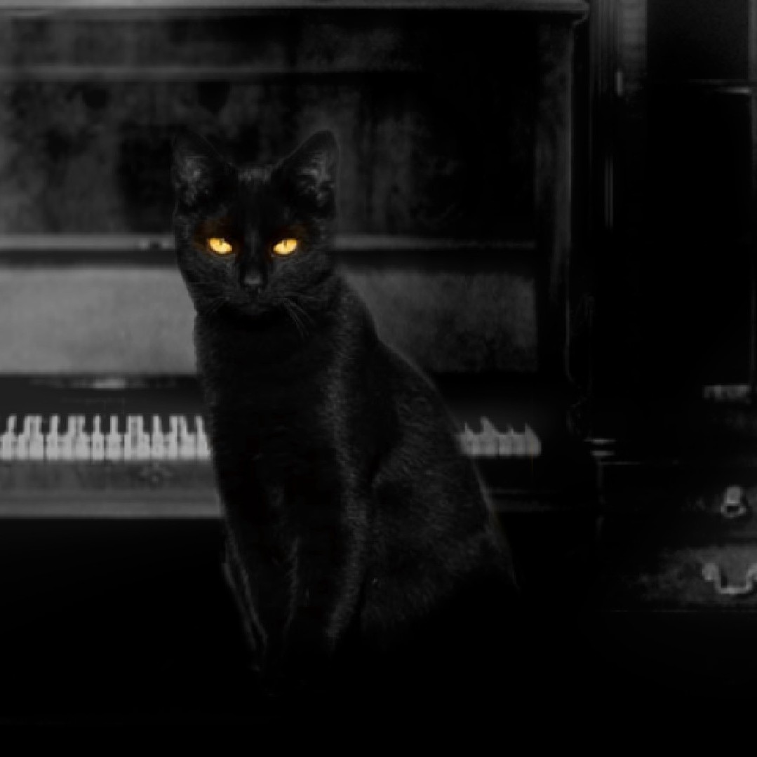 Guide des succès [FR] for The Cat Lady