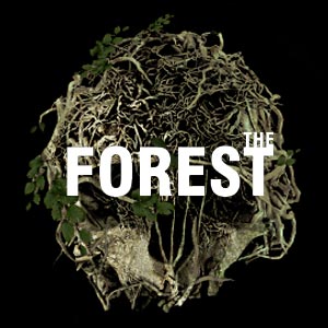 Guide FR The Forest for The Forest