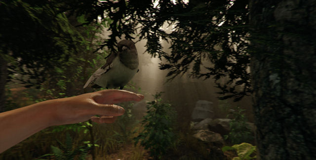 Guide thorugh the Forest (v0.47d) for The Forest