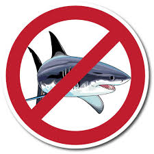 Hard mode days 1-3 for Stranded Deep